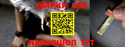 шишки Канаш
