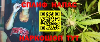 шишки Канаш