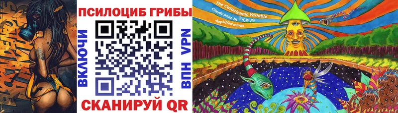 хочу   Магнитогорск  Галлюциногенные грибы GOLDEN TEACHER 