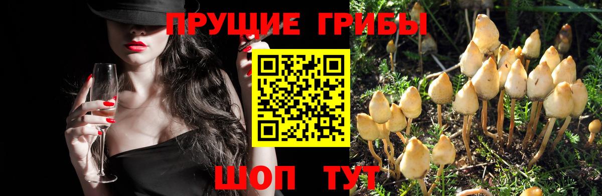 Псилоцибиновые грибы Magic Shrooms Магнитогорск